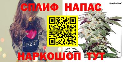 мяу мяу мука Бугуруслан