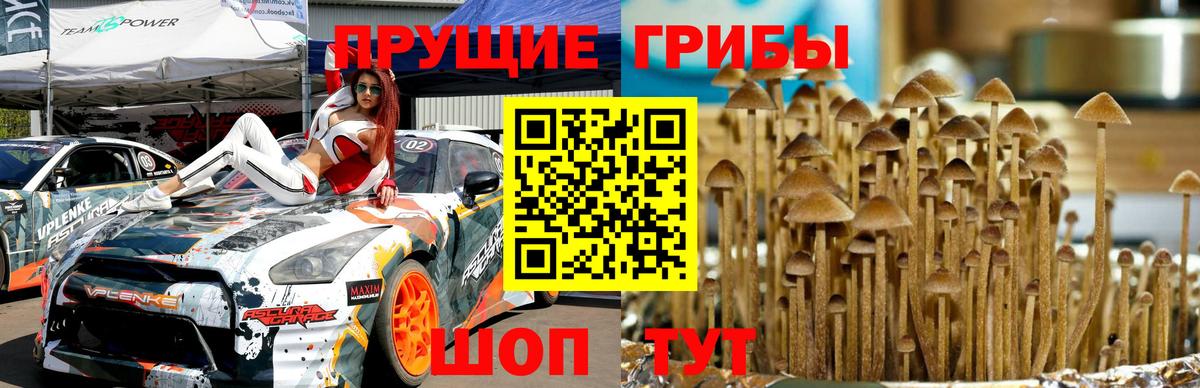 Галлюциногенные грибы GOLDEN TEACHER  Вход с VPN  Ревда 