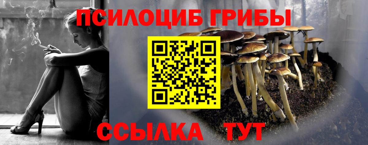 Галлюциногенные грибы GOLDEN TEACHER Ревда
